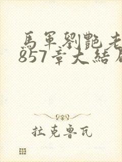 马军刘艳老师第857章大结局封面