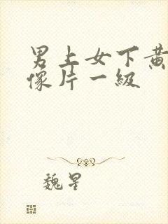 男上女下黄色录像片一级