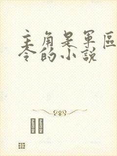 主角是军区总司令的小说