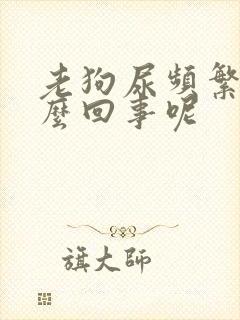 老狗尿频繁是怎么回事呢