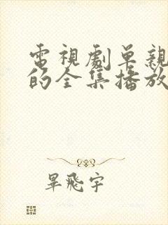 电视剧单亲妈妈的全集播放