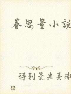 眷思量小说封面