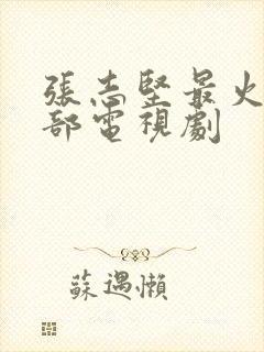 张志坚最火的三部电视剧封面