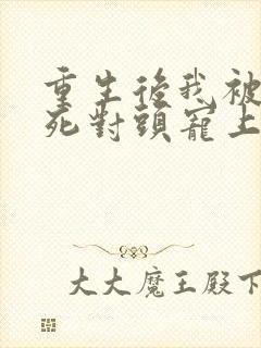 重生后我被渣男死对头宠上天短剧免费观看