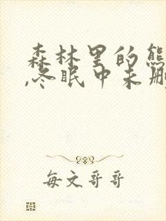 森林里的熊先生,冬眠中未删减