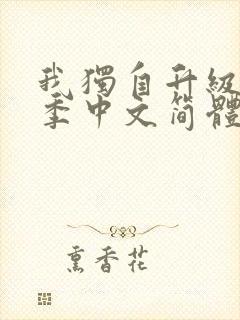 我独自升级第一季中文简体字幕