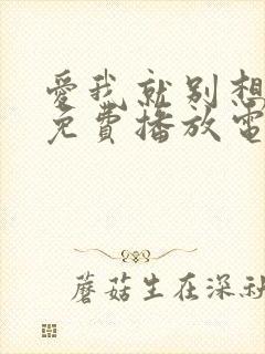 爱我就别想太多免费播放电视剧高清封面