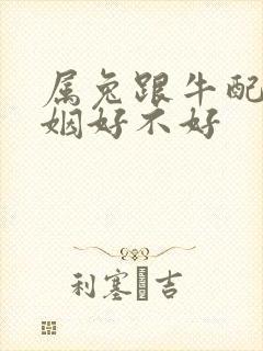 属兔跟牛配的婚姻好不好