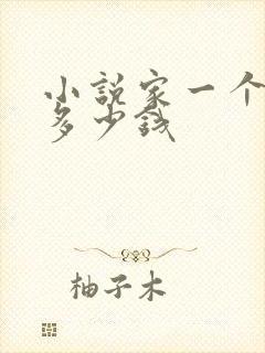 小说家一个月挣多少钱