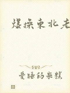 爆操东北老熟女