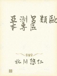 亚洲另类欧美日本专区封面