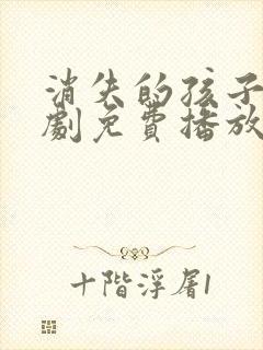 消失的孩子电视剧免费播放高清封面