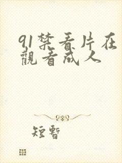 91禁看片在线观看成人封面