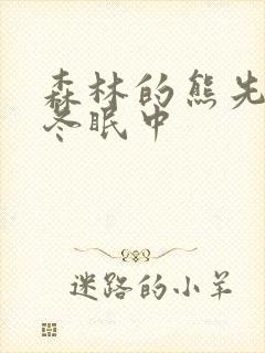 森林的熊先生在冬眠中