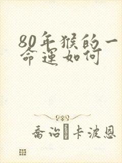 80年猴的一生命运如何