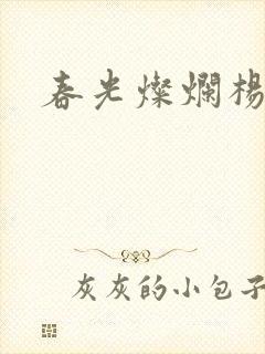 春光灿烂杨家将