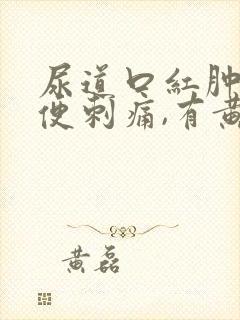 尿道口红肿,小便刺痛,有黄色分泌物