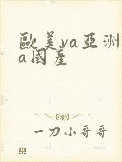 欧美va亚洲va国产封面