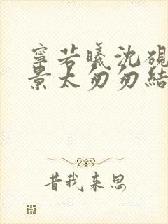 宁若曦沈砚舟盛景太匆匆结局封面