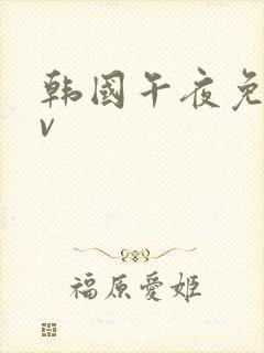 韩国午夜免费av