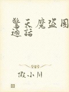 惊天魔盗团1普通话