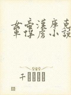 女帝汉库克被海军俘虏小说