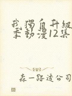 我独自升级第二季动漫12集