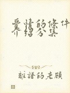 爱情的条件剧情介绍分集封面