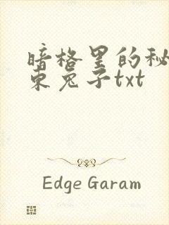 暗格里的秘密耳东兔子txt
