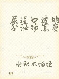 尿道口透明粘性分泌物怎么回事