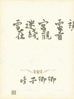 雪迷宫 电视剧 在线观看封面