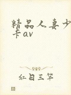 精品人妻少妇不卡av