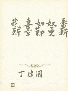 我妻如奴番外最新章节更新封面