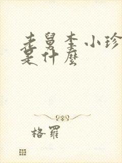 老舅李小珍结局是什么