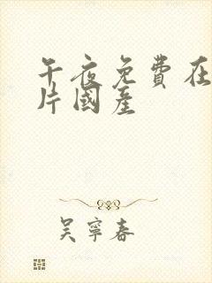 午夜免费在线看片国产