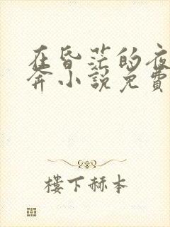 在昏茫的夜中私奔小说免费阅读