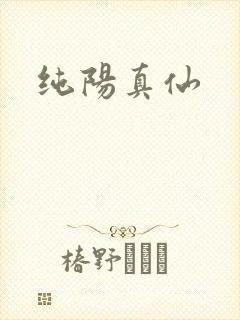 纯阳真仙封面