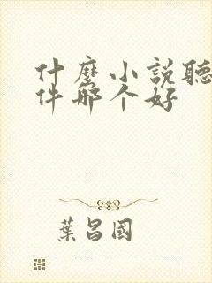 什么小说听书软件哪个好