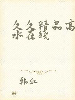 久久精品高潮喷水在线