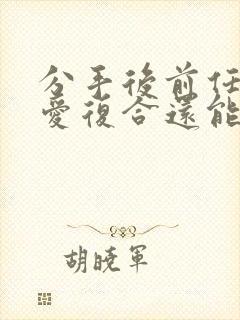 分手后前任和旧爱复合还能挽回么