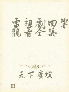 电视剧回响免费观看全集