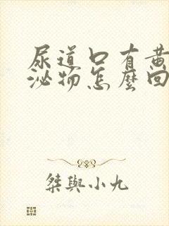 尿道口有黄色分泌物怎么回事封面