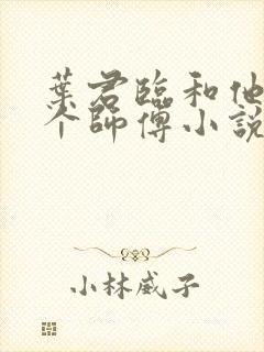 叶君临和他的九个师傅小说