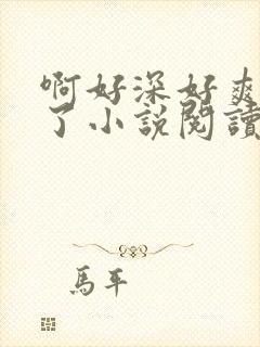 啊好深好爽高潮了小说阅读