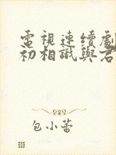 电视连续剧与君初相识与君封面