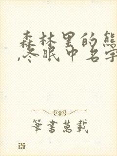 森林里的熊先生,冬眠中名字