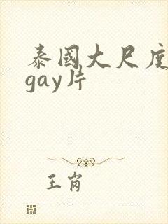 泰国大尺度真做gay片