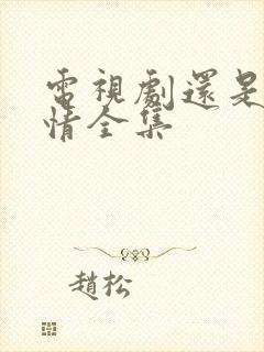 电视剧还是那片情全集