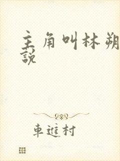 主角叫林朔的小说