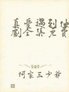 真爱遇到他电视剧全集免费观看